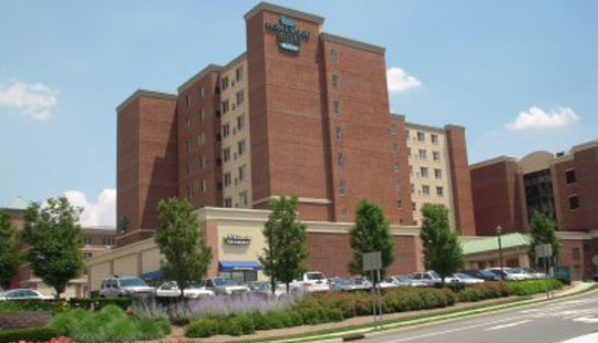 Homewood Suites